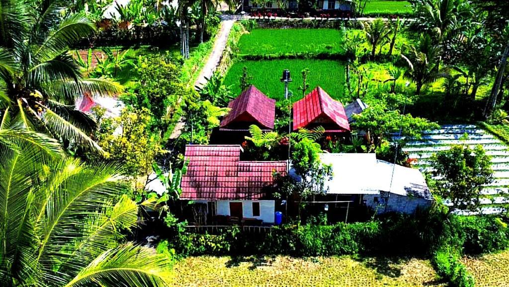 Ariel Bungalow Tetebatu Extérieur photo