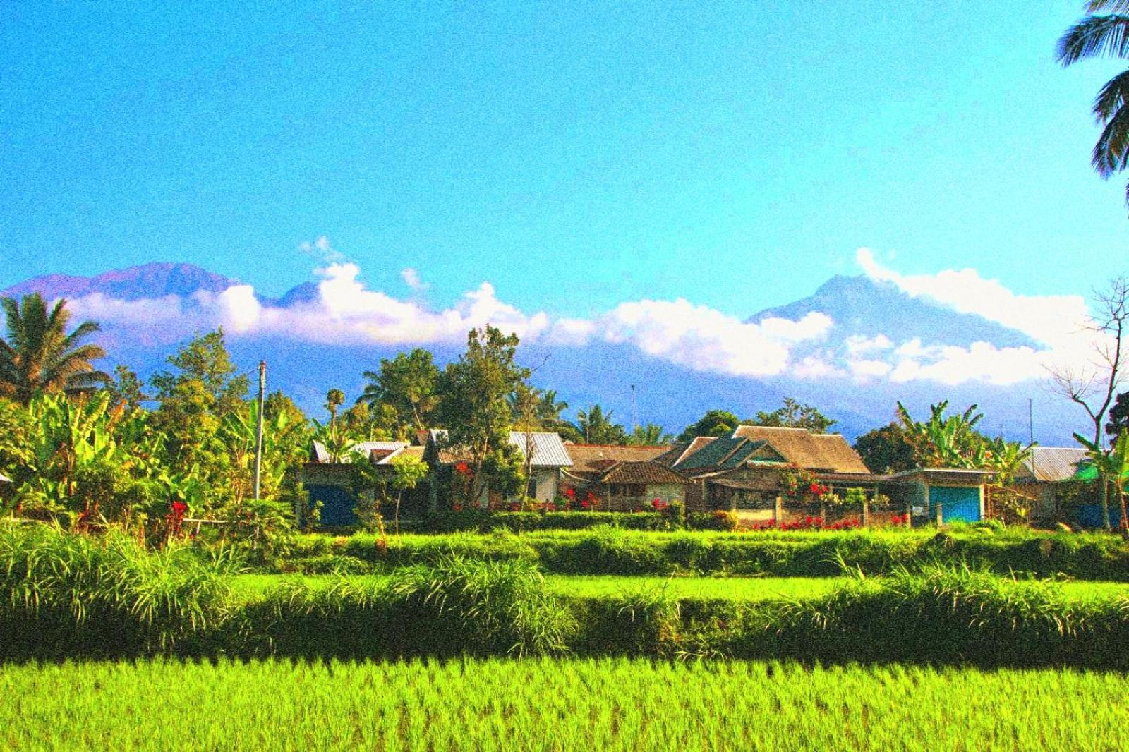 Ariel Bungalow Tetebatu Extérieur photo