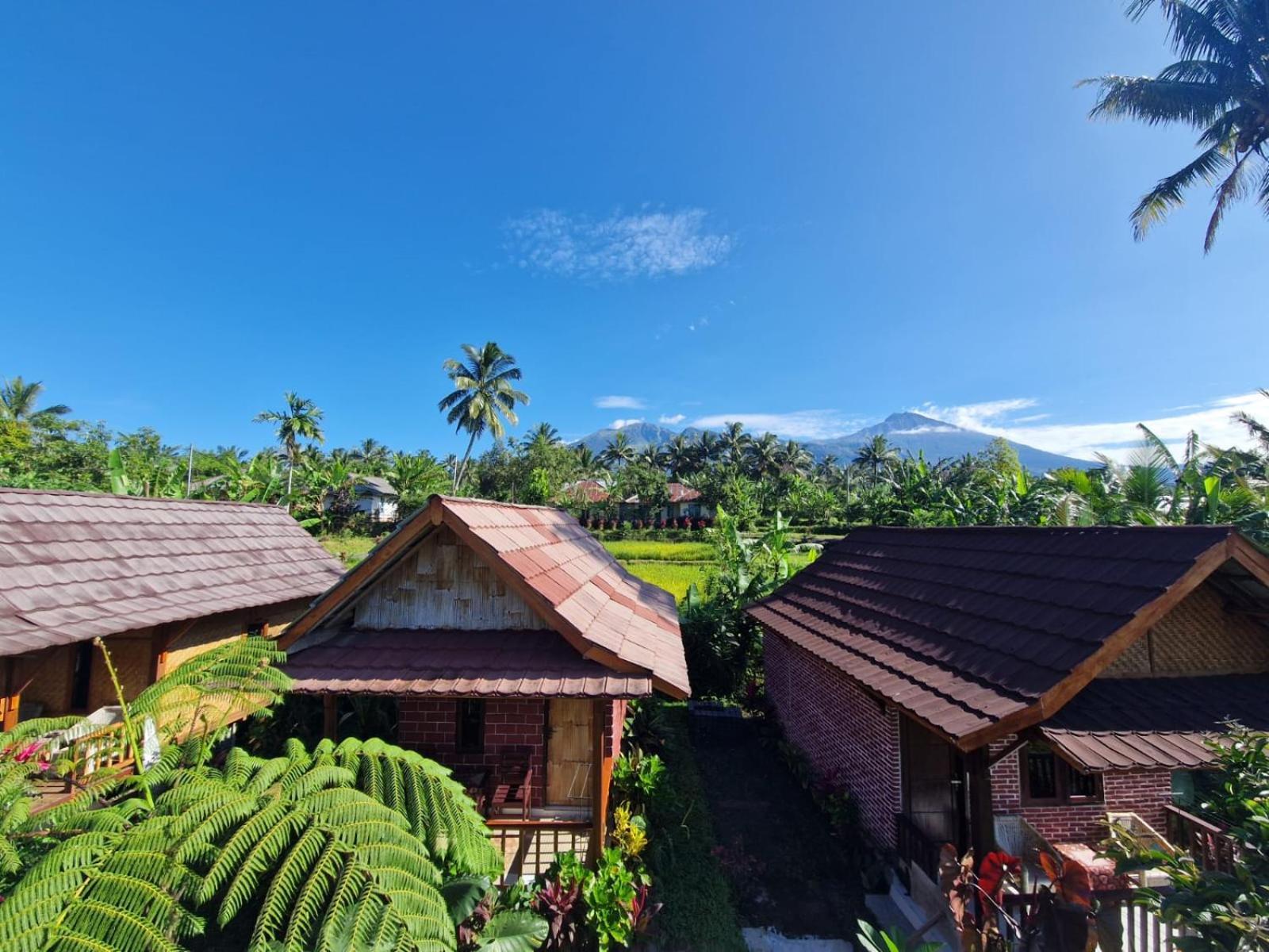Ariel Bungalow Tetebatu Extérieur photo