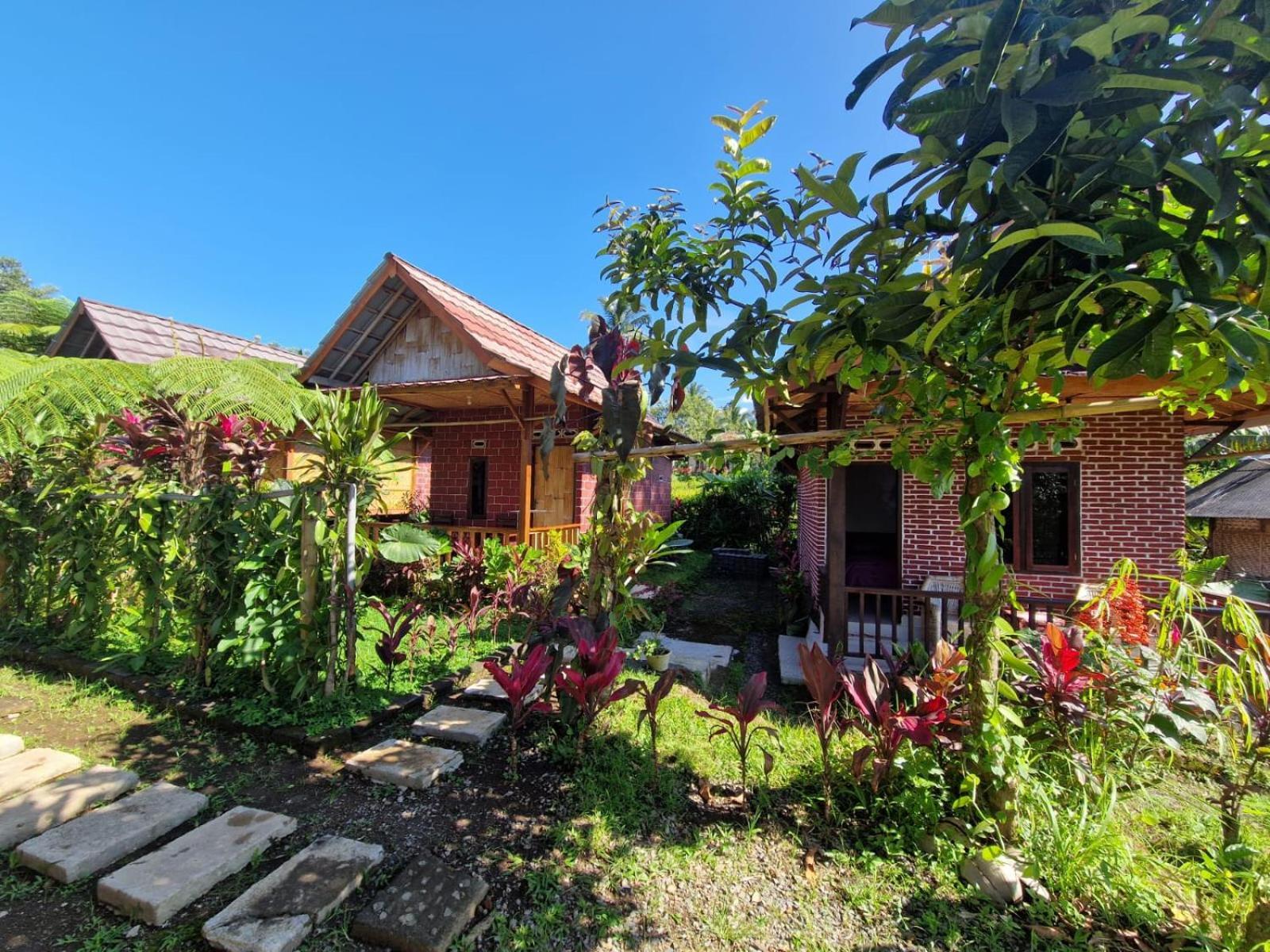 Ariel Bungalow Tetebatu Extérieur photo